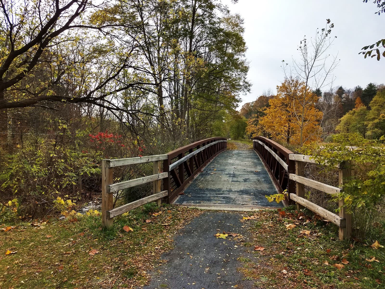 Catharine Valley Trail - Image 1