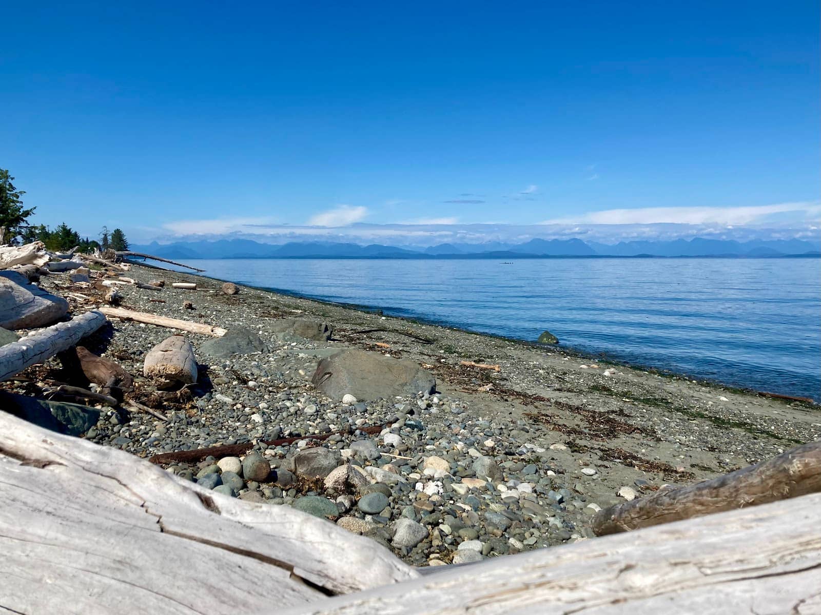 Low Tide Sandy Shores