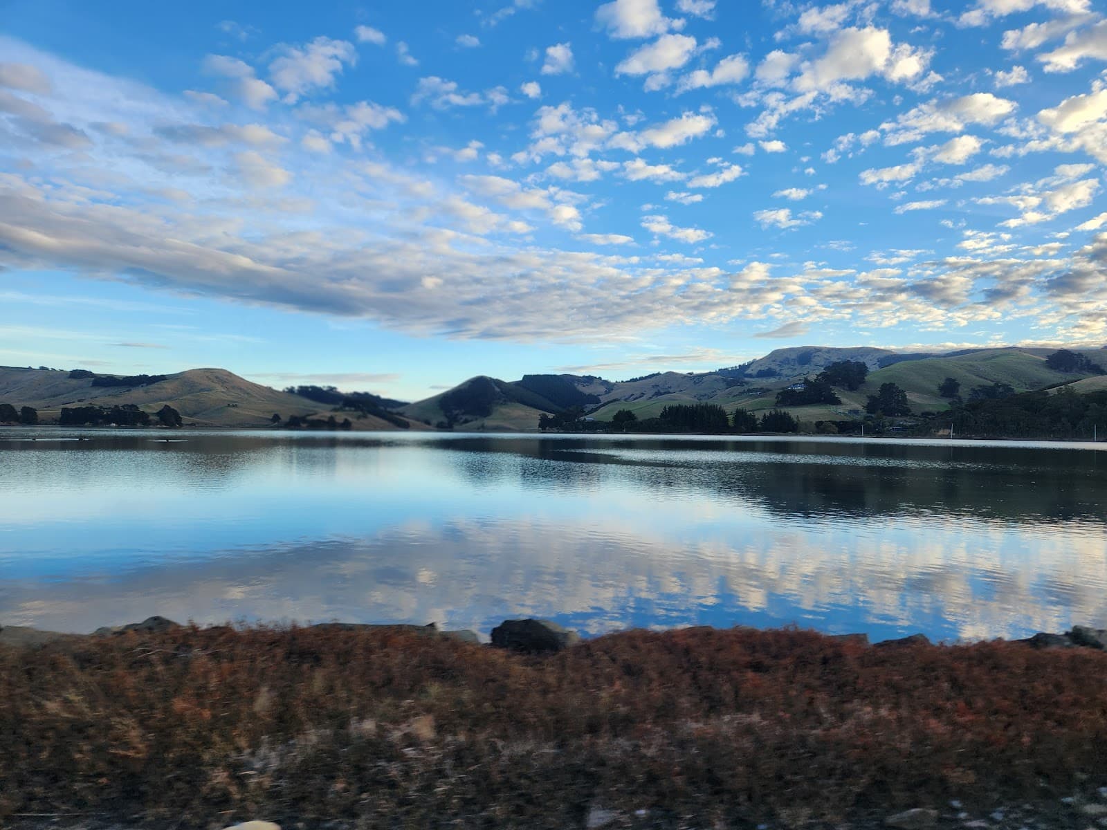 Hoopers Inlet Otago Peninsula - Image 1