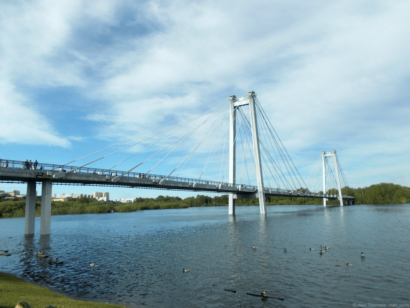 Vinogradovsky Pedestrian Bridge - Image 1