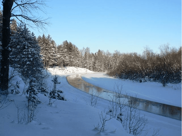 Lake Shusher