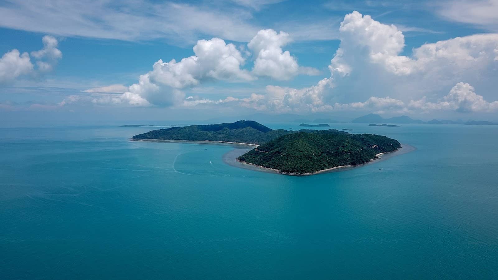Tranquil Lagoon Swim