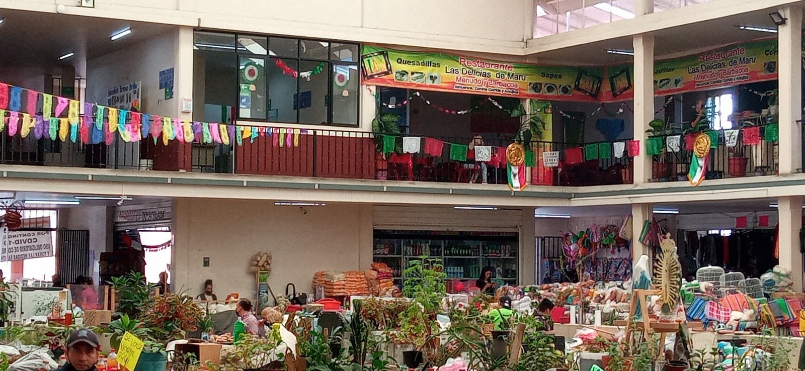 Mercado San Juan Nicolás Bravo - Image 1