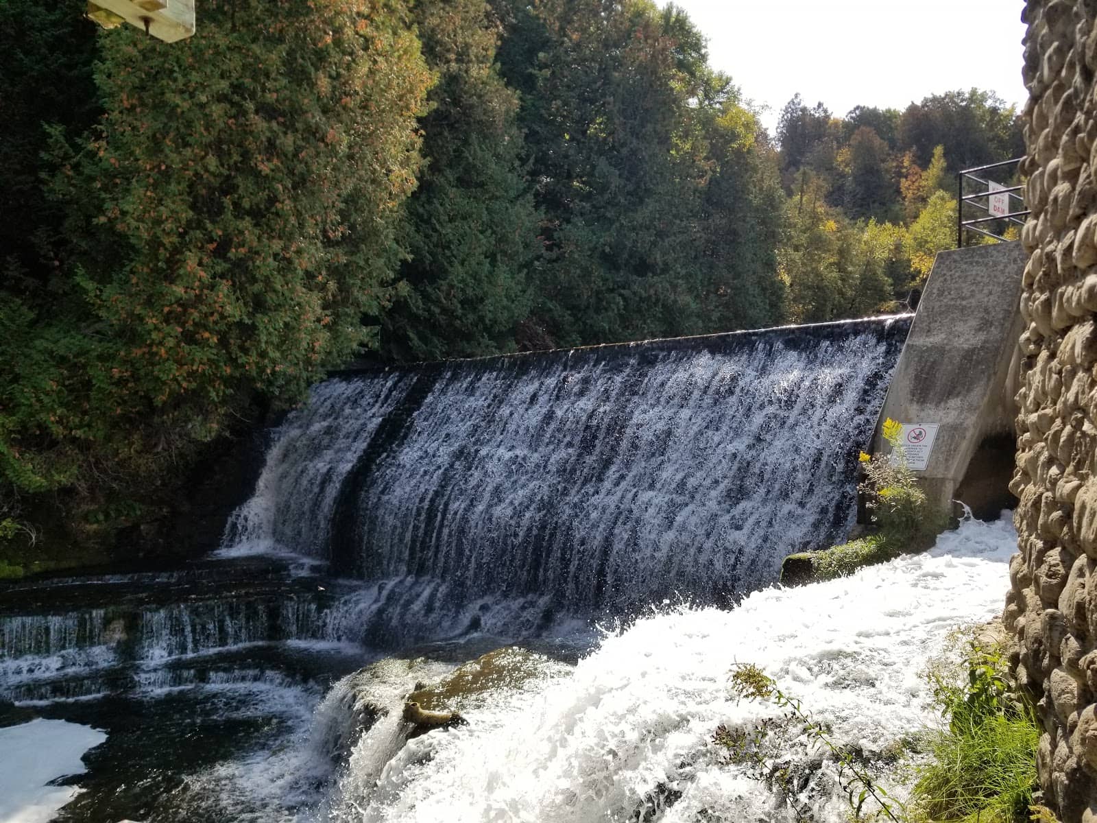Vertical photo