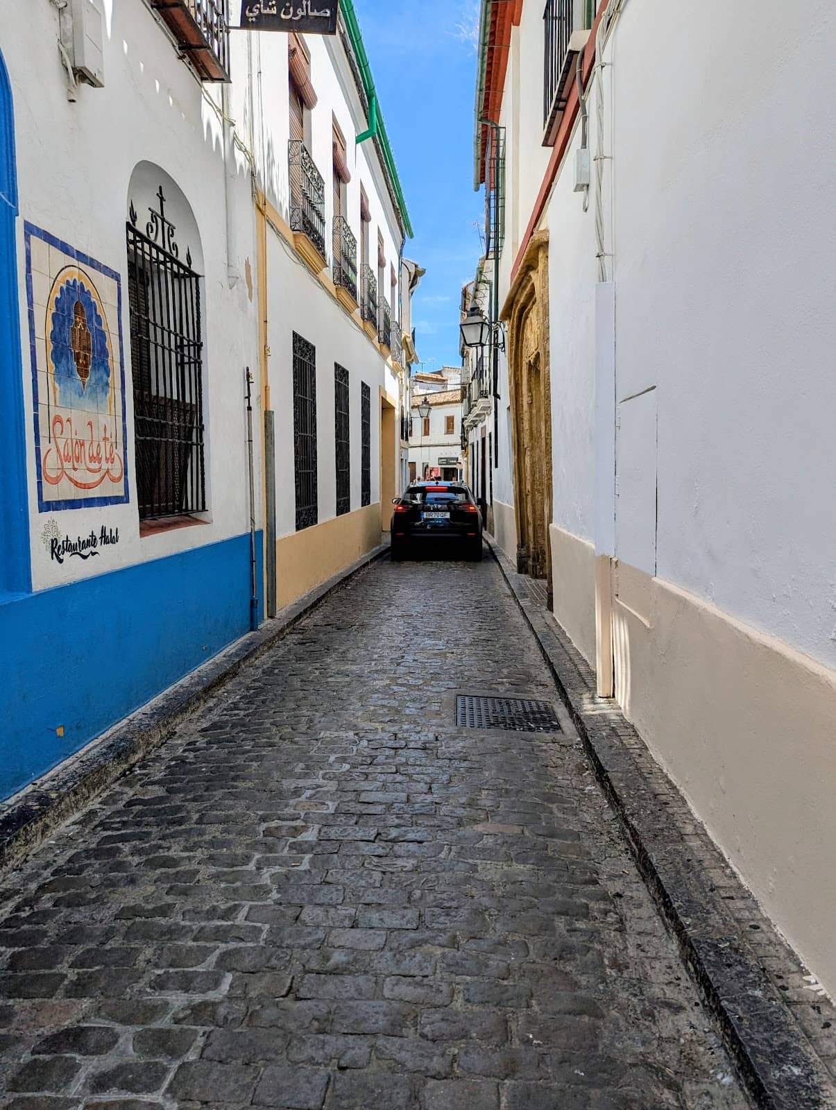 Calleja de las Flores