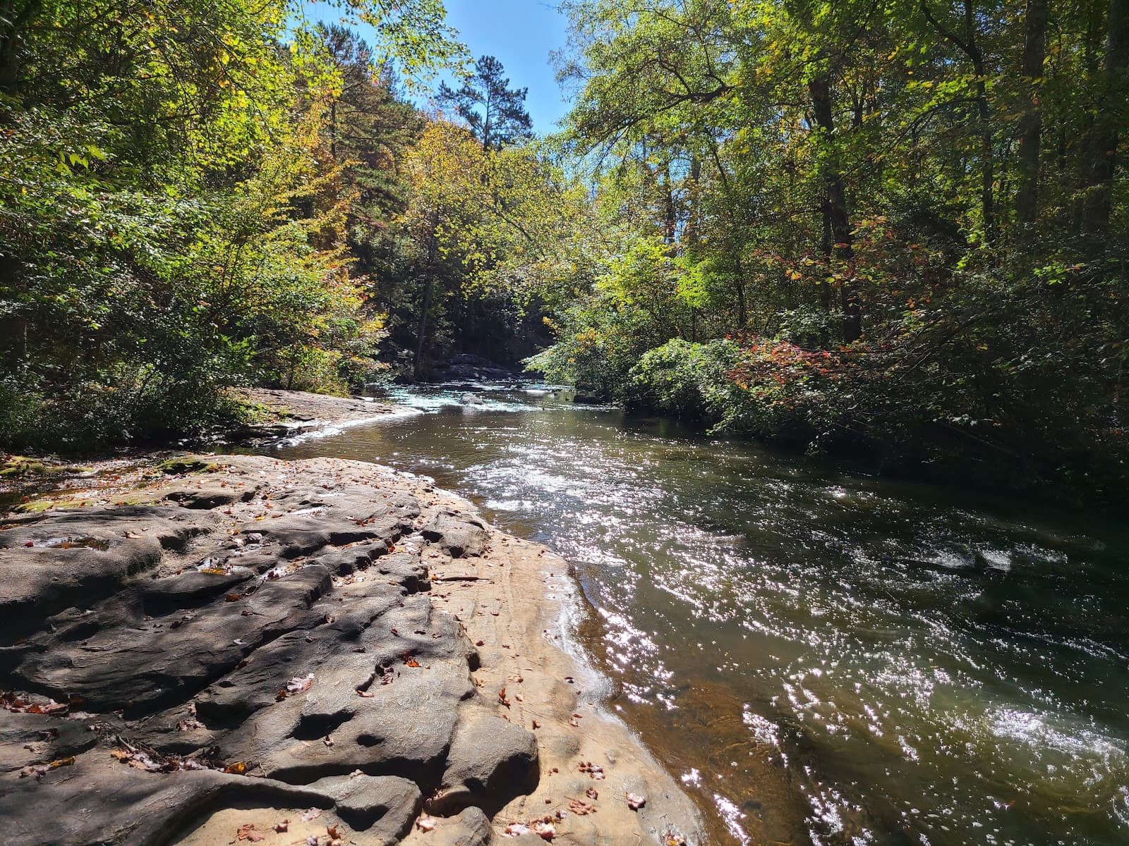 Line Creek Nature Area - Image 1