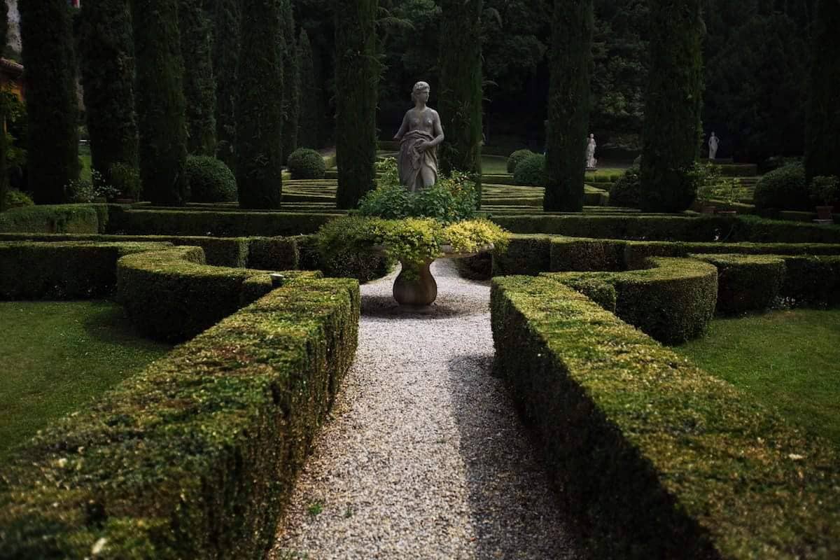 The Cypress Labyrinth