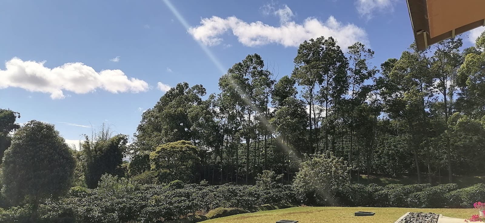 Sabanilla de Alajuela - Image 1