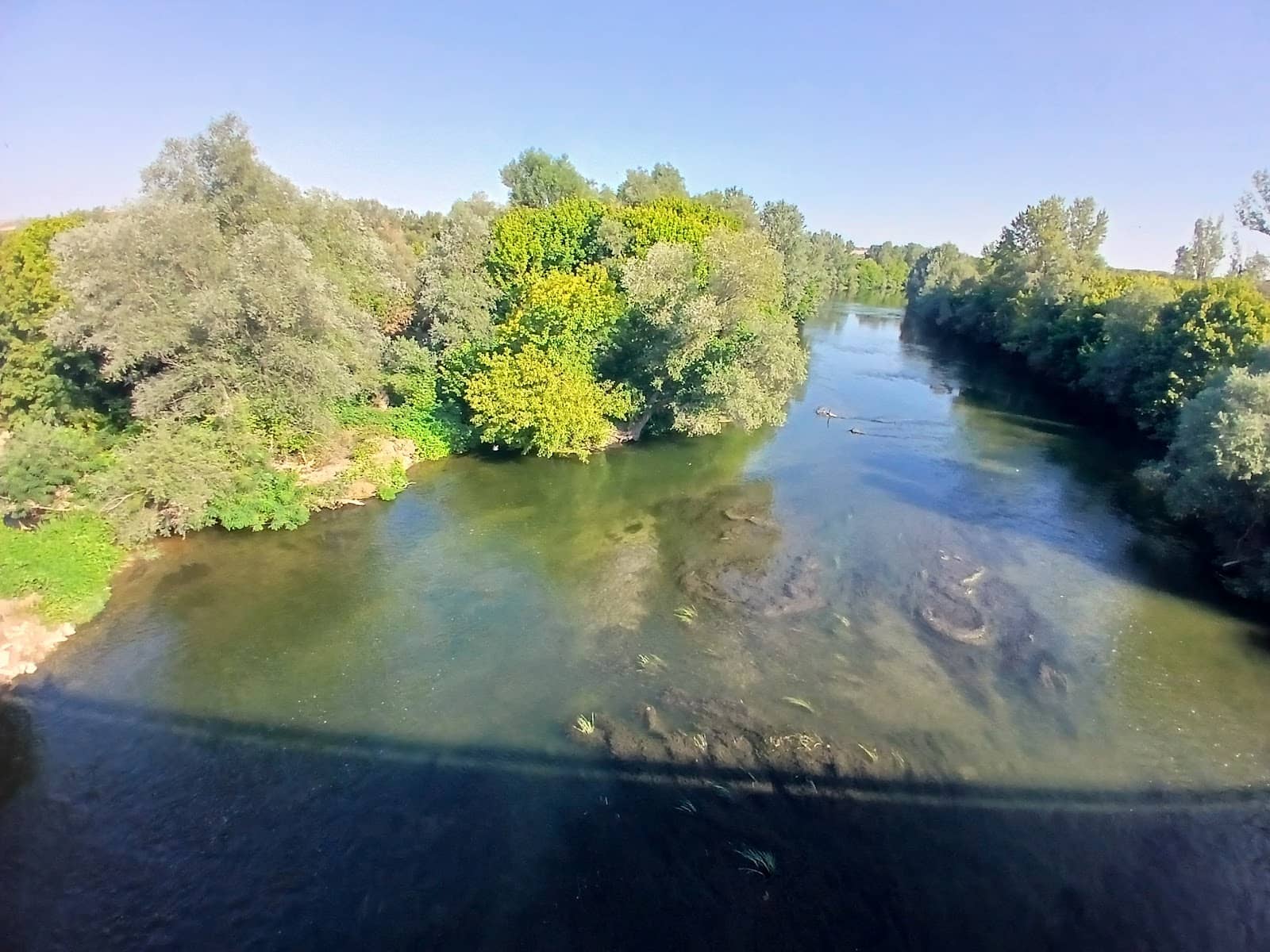 Stambolov Bridge