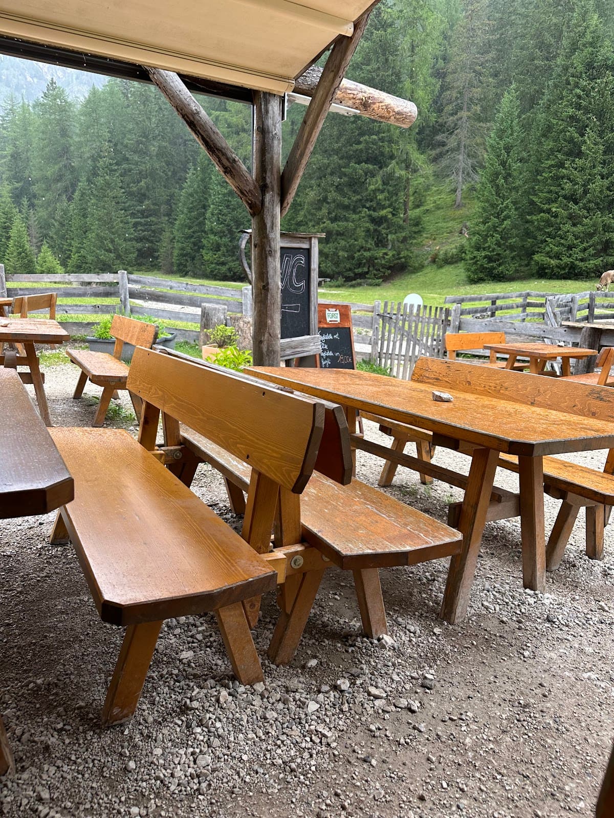 Malga Foresta Grünwaldalm - Image 1