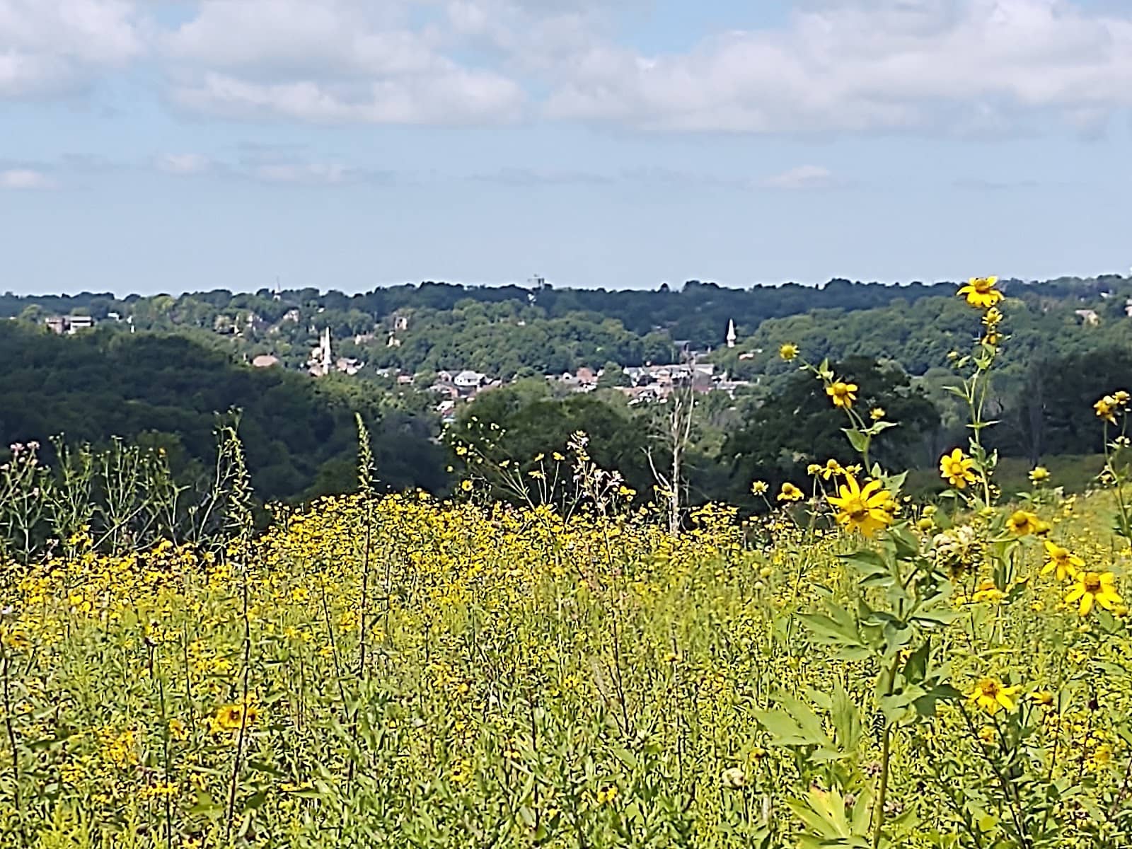 Chestnut Mountain Resort