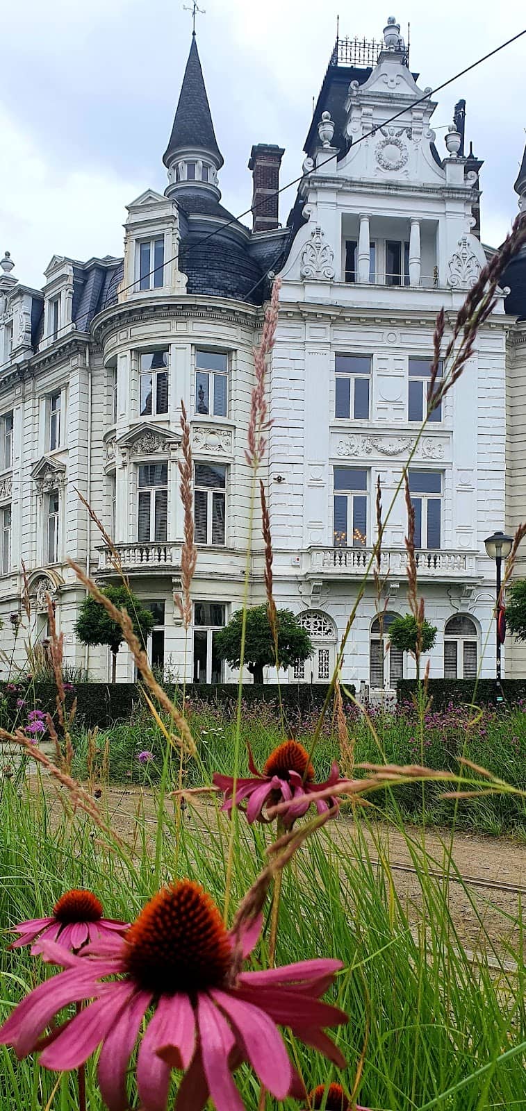 Zurenborg's Artistic Charm