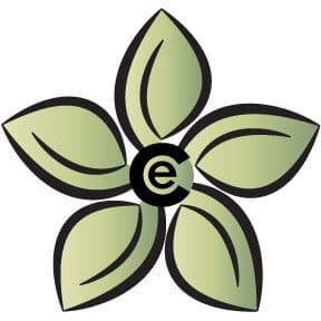 Lynn Canyon Ecology Centre - Image 1