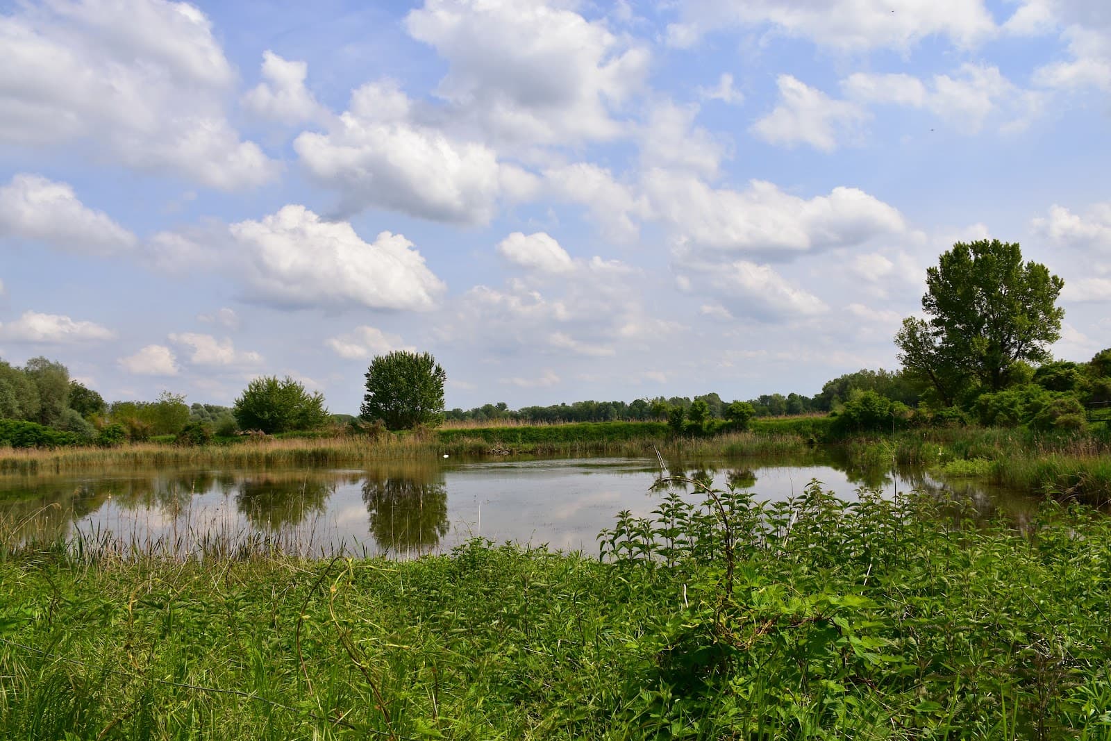 Ormož Basins Nature Reserve - Image 1