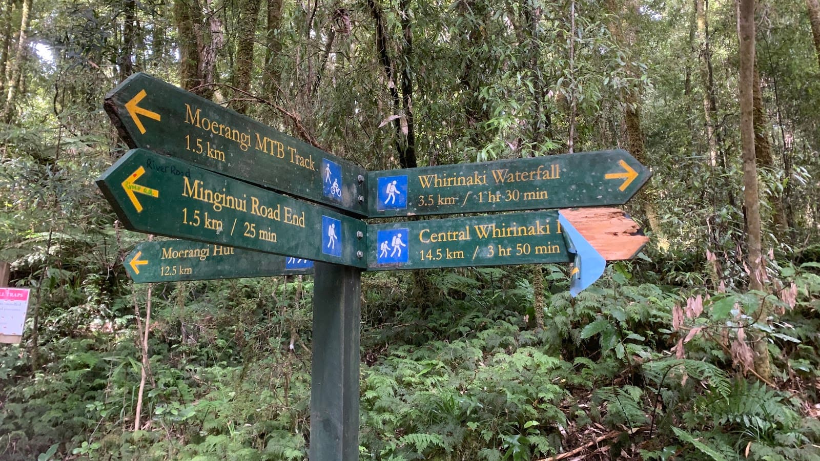 Whirinaki Te Pua-a-Tāne Conservation Park - Image 1