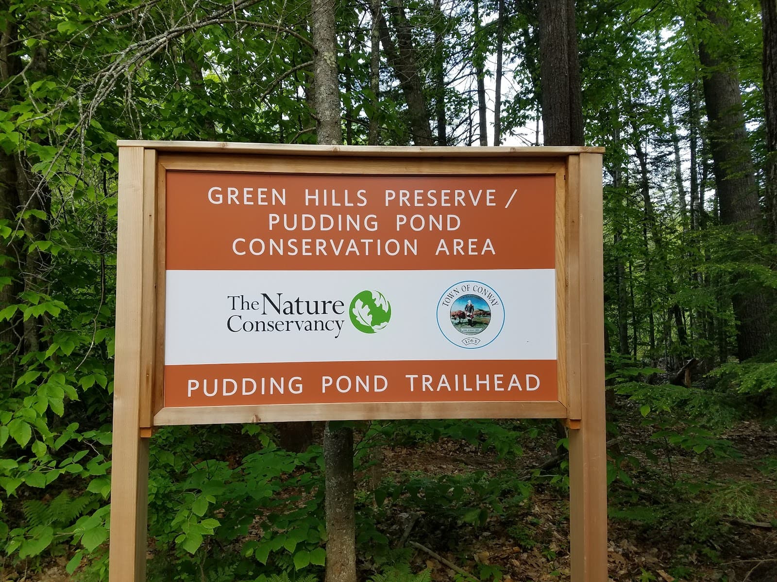 Pudding Pond - Image 1