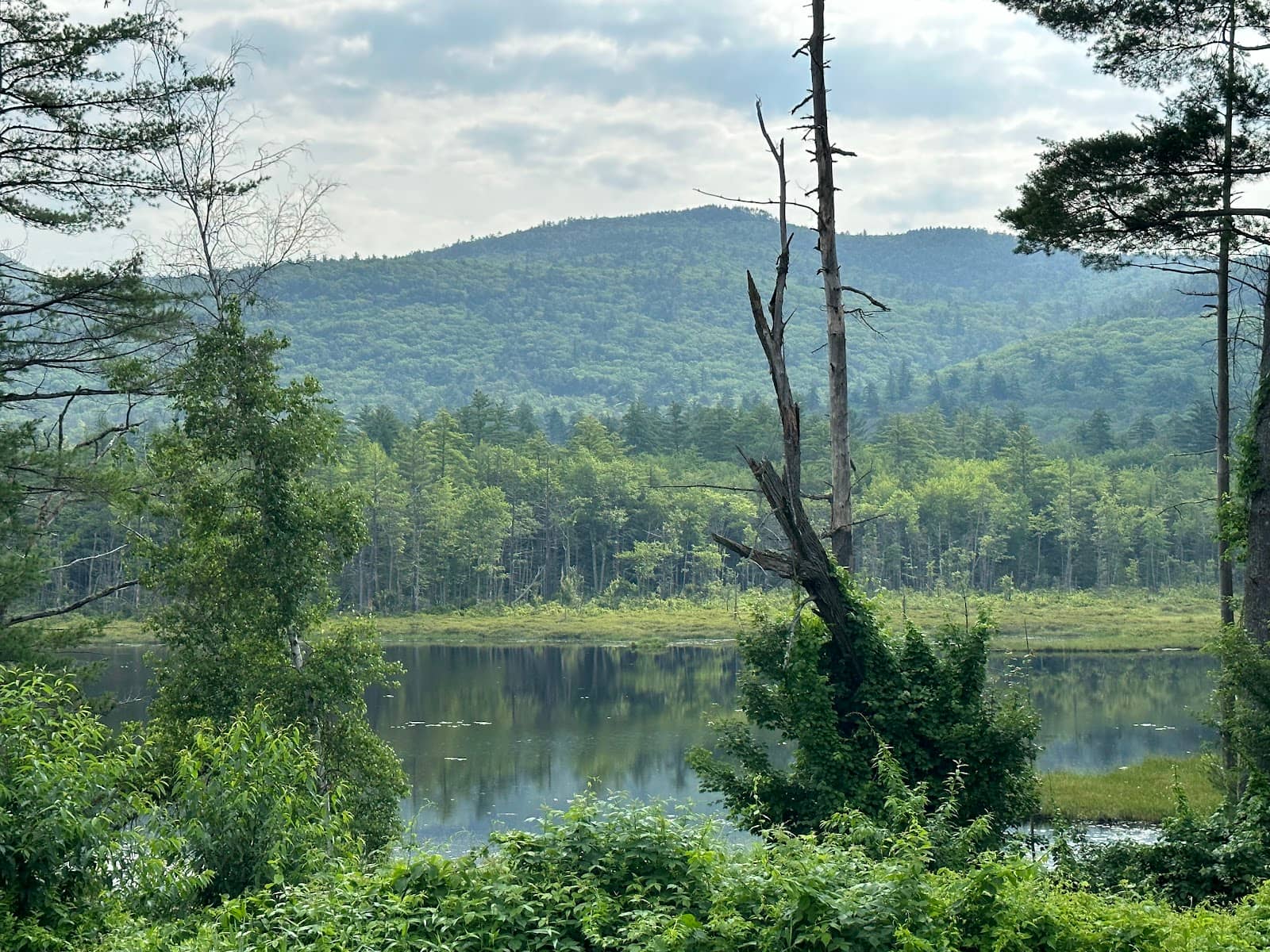 Vertical photo