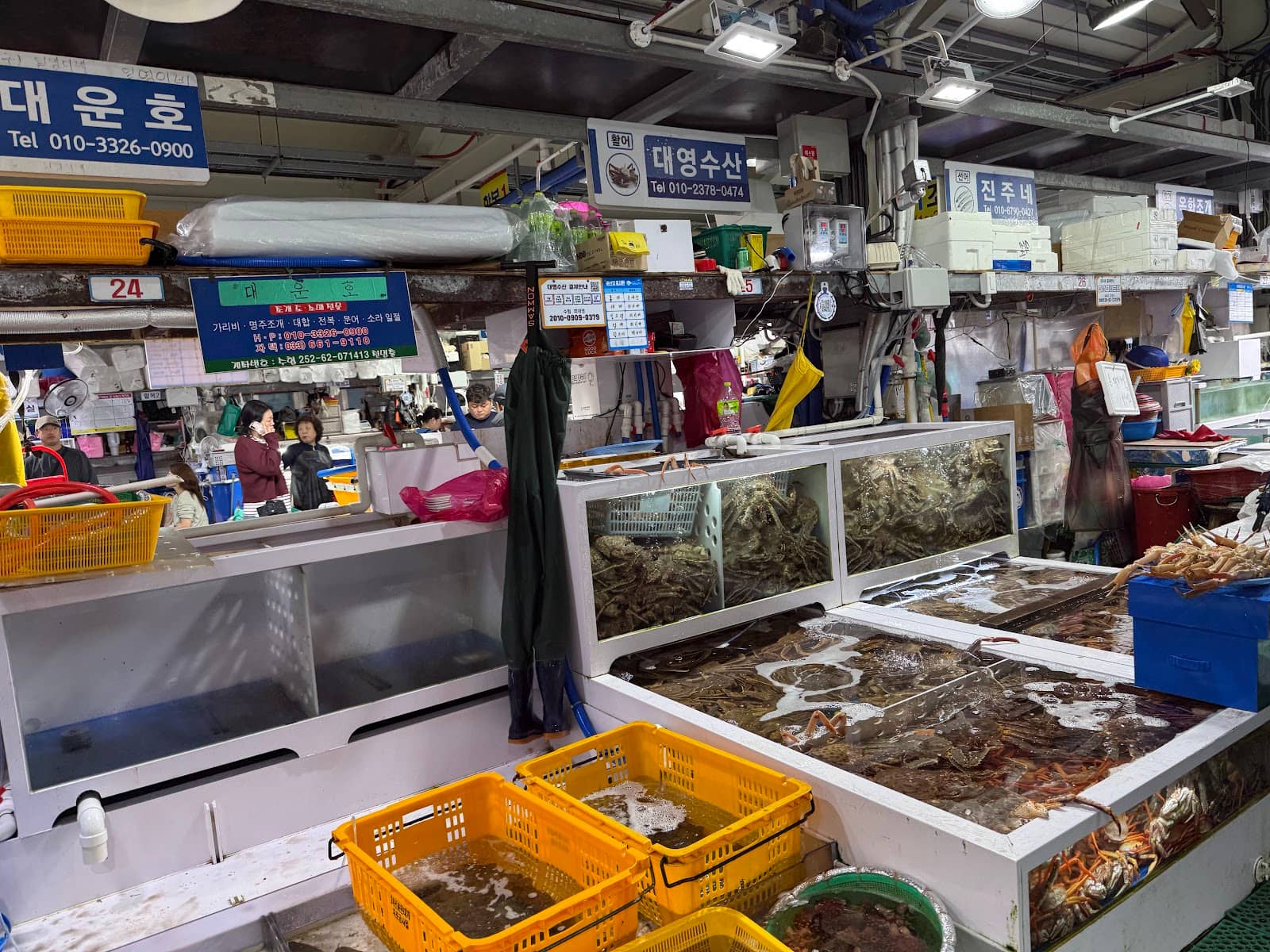 Vibrant Seafood Stalls