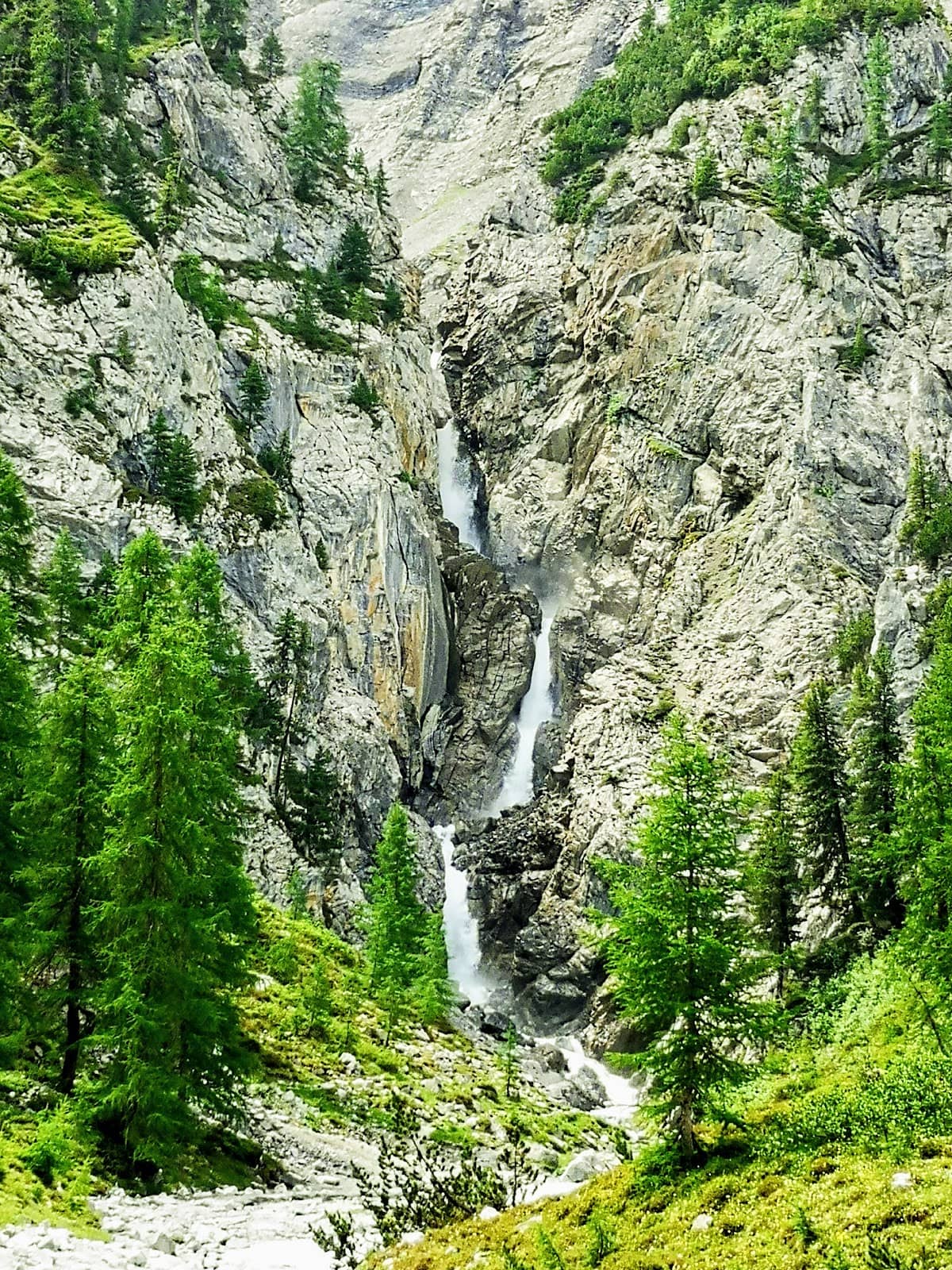 Vertical photo