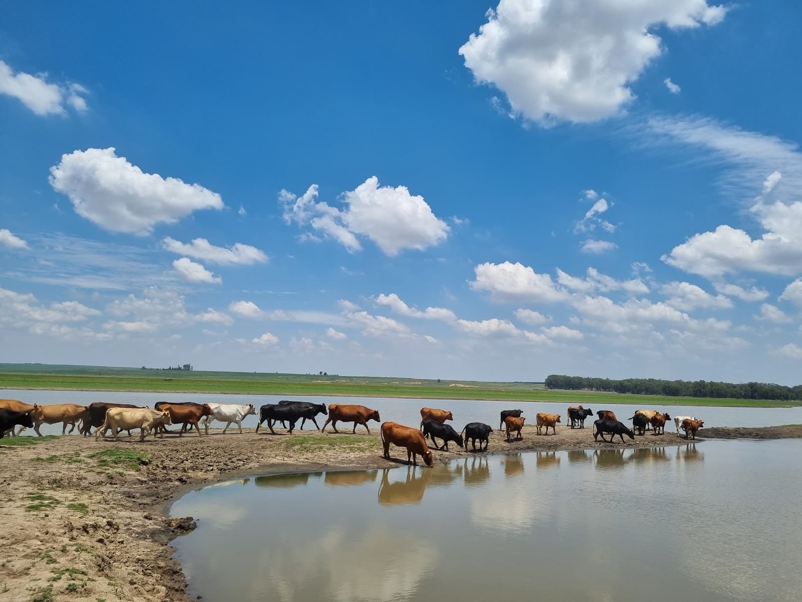 Vaal Dam - Image 1