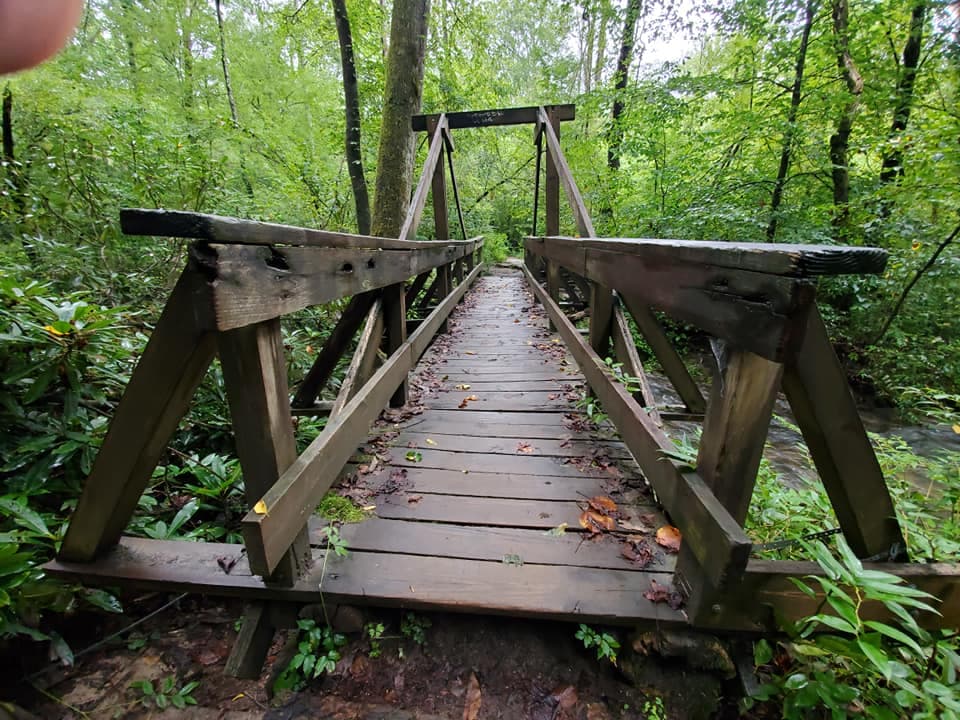 Cat Gap Loop - Image 1