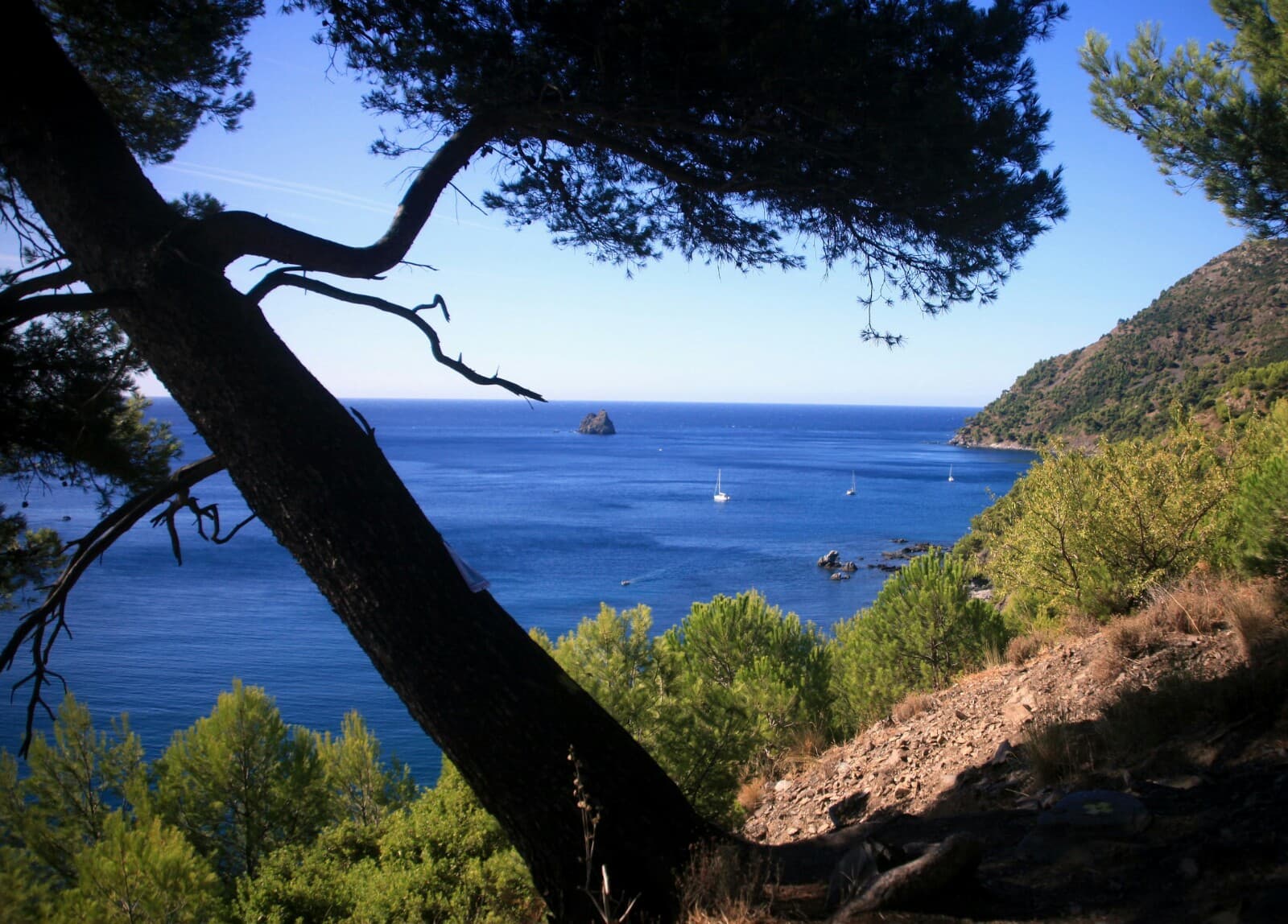 Cap Sicié - Image 1