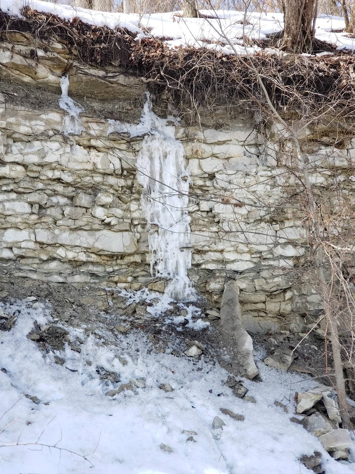 Vertical photo