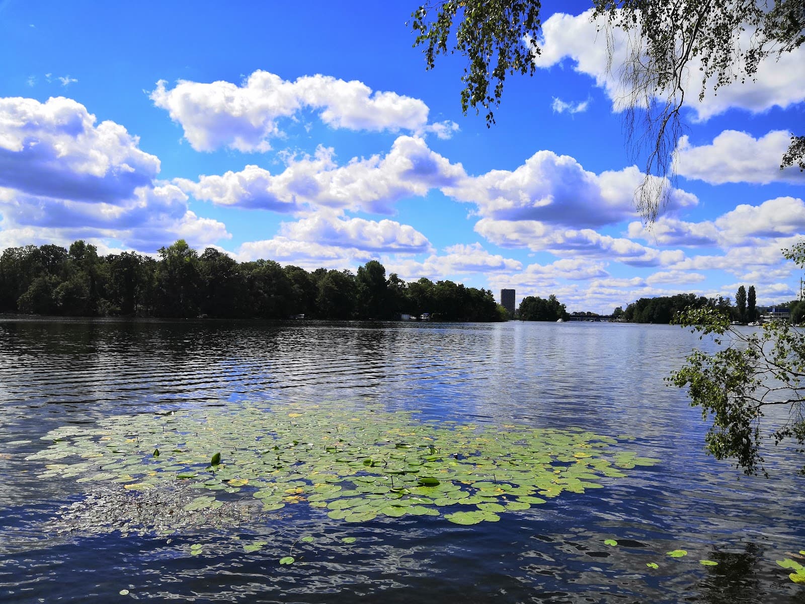 Tegeler See - Image 1