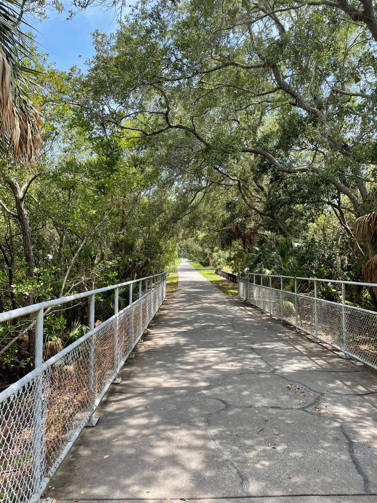 Shaded Pathways