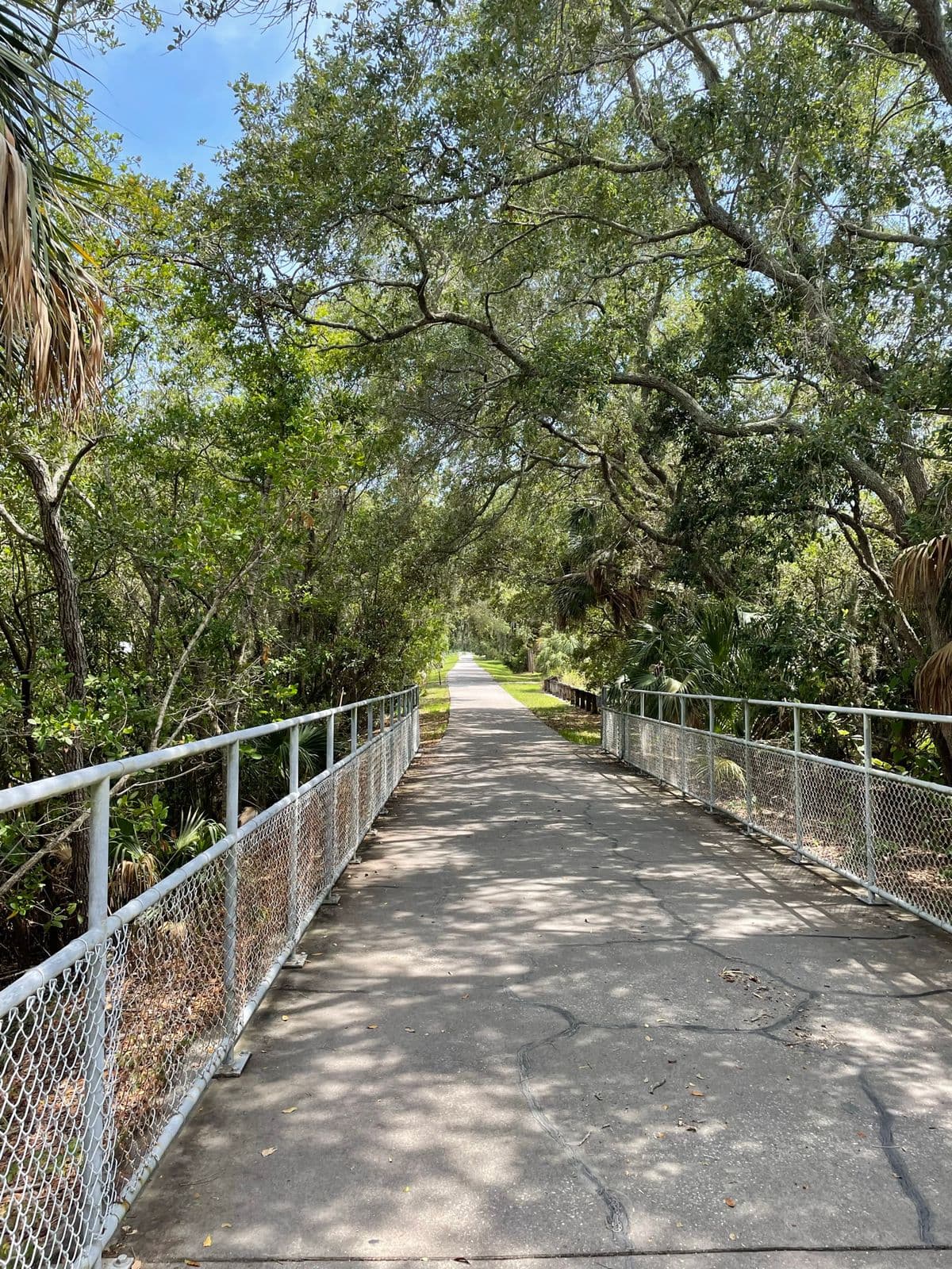Fred Marquis Pinellas Trail - Image 1