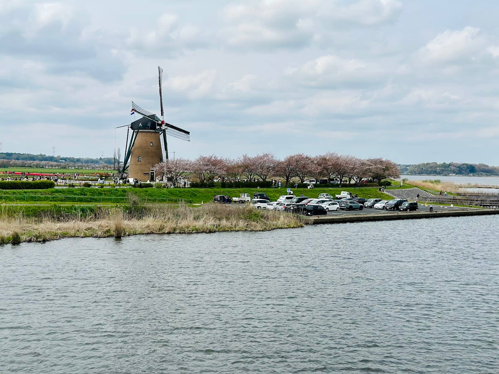 Unagi (Eel) Delicacy
