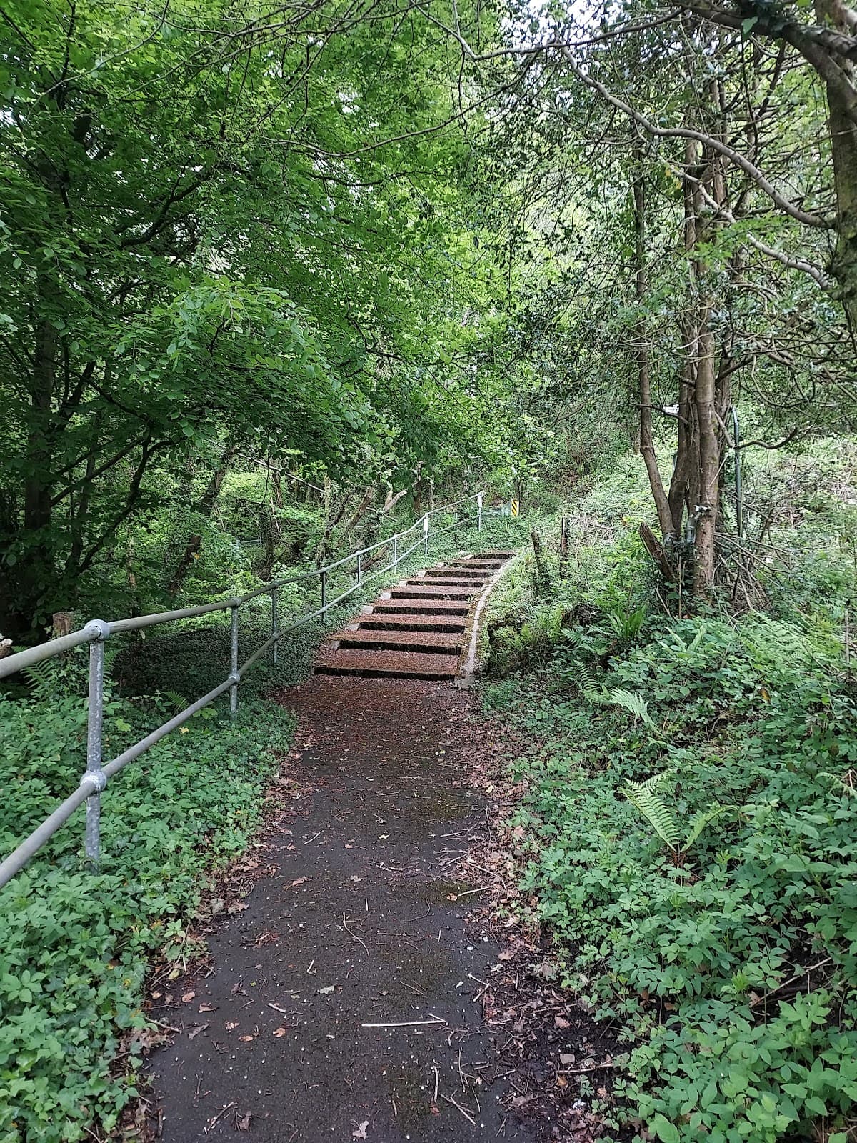 Trevithick Trail - Image 1