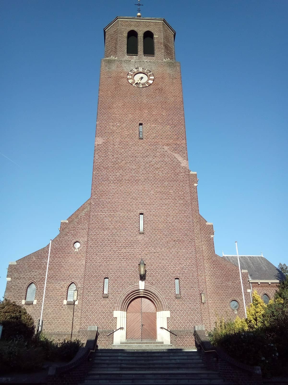 Bosje Bloemen Maasniel