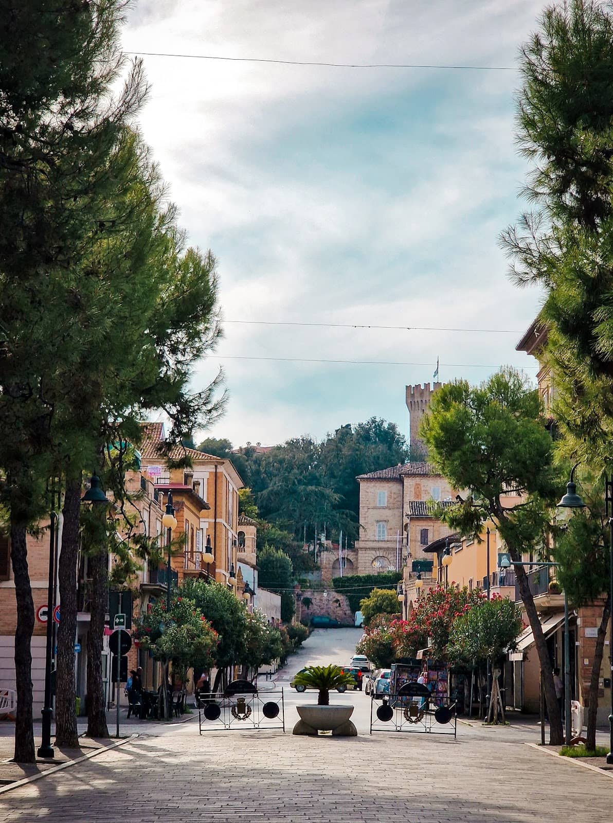 Vertical photo