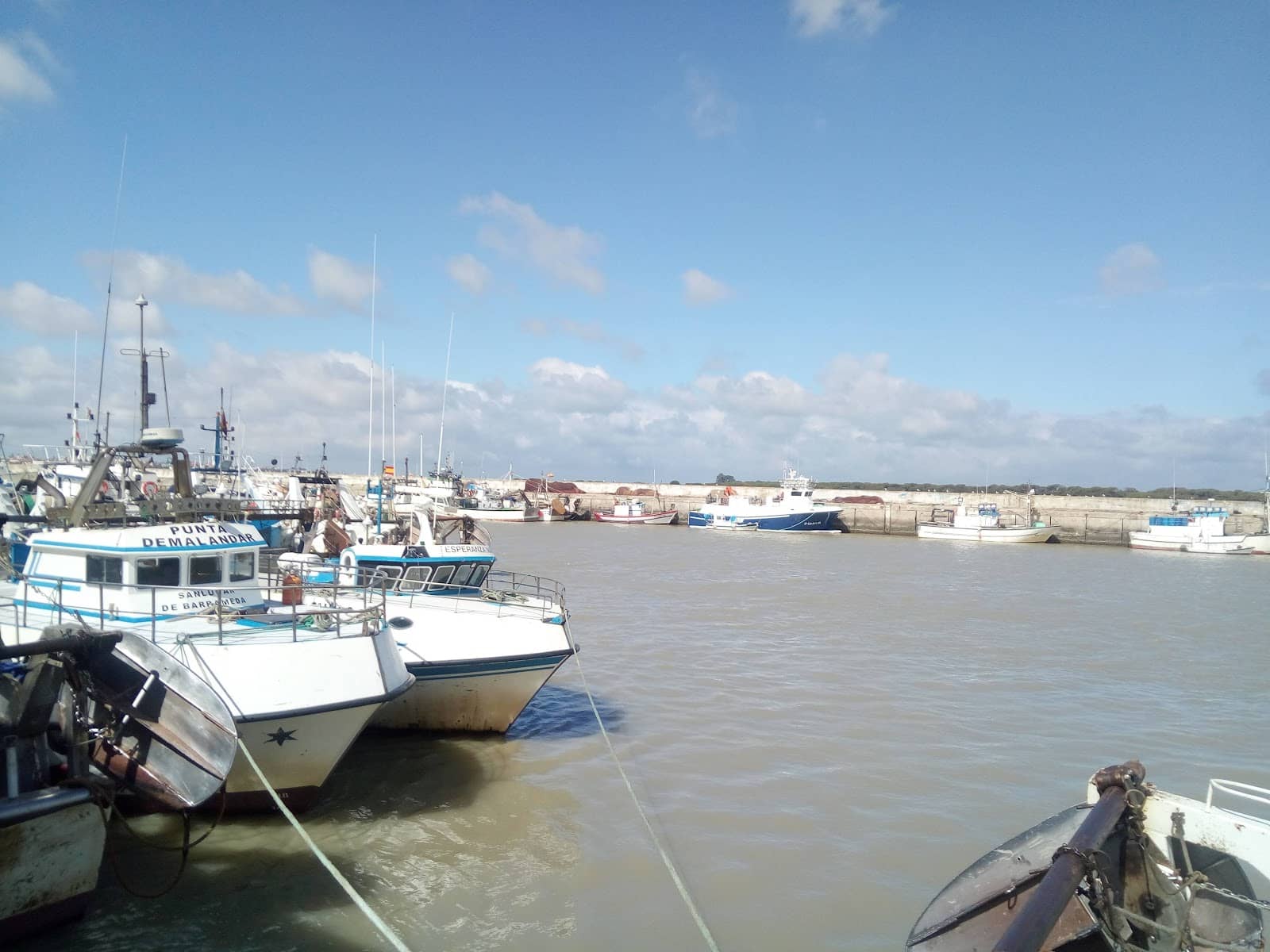 Free Spins with Multipliers