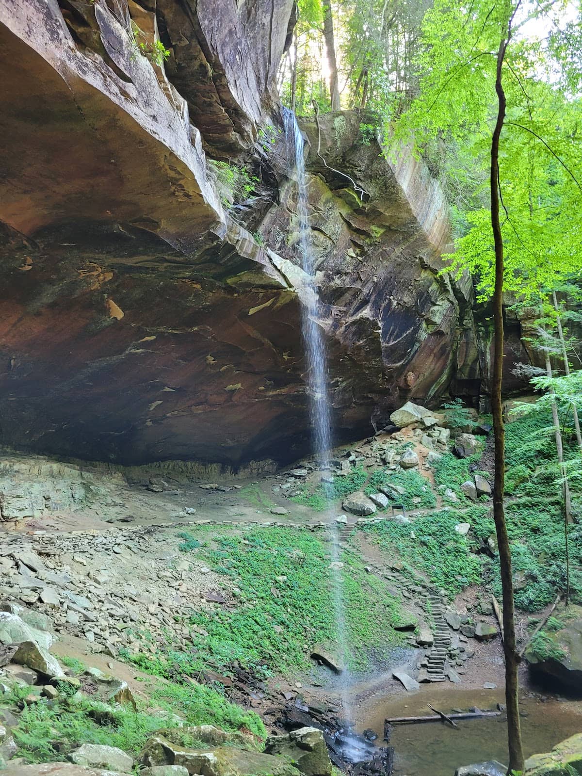 The Arch Trail