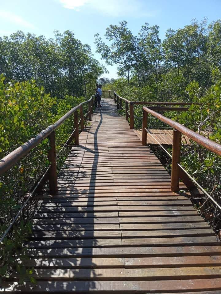 Ilha do Cardoso - Image 1