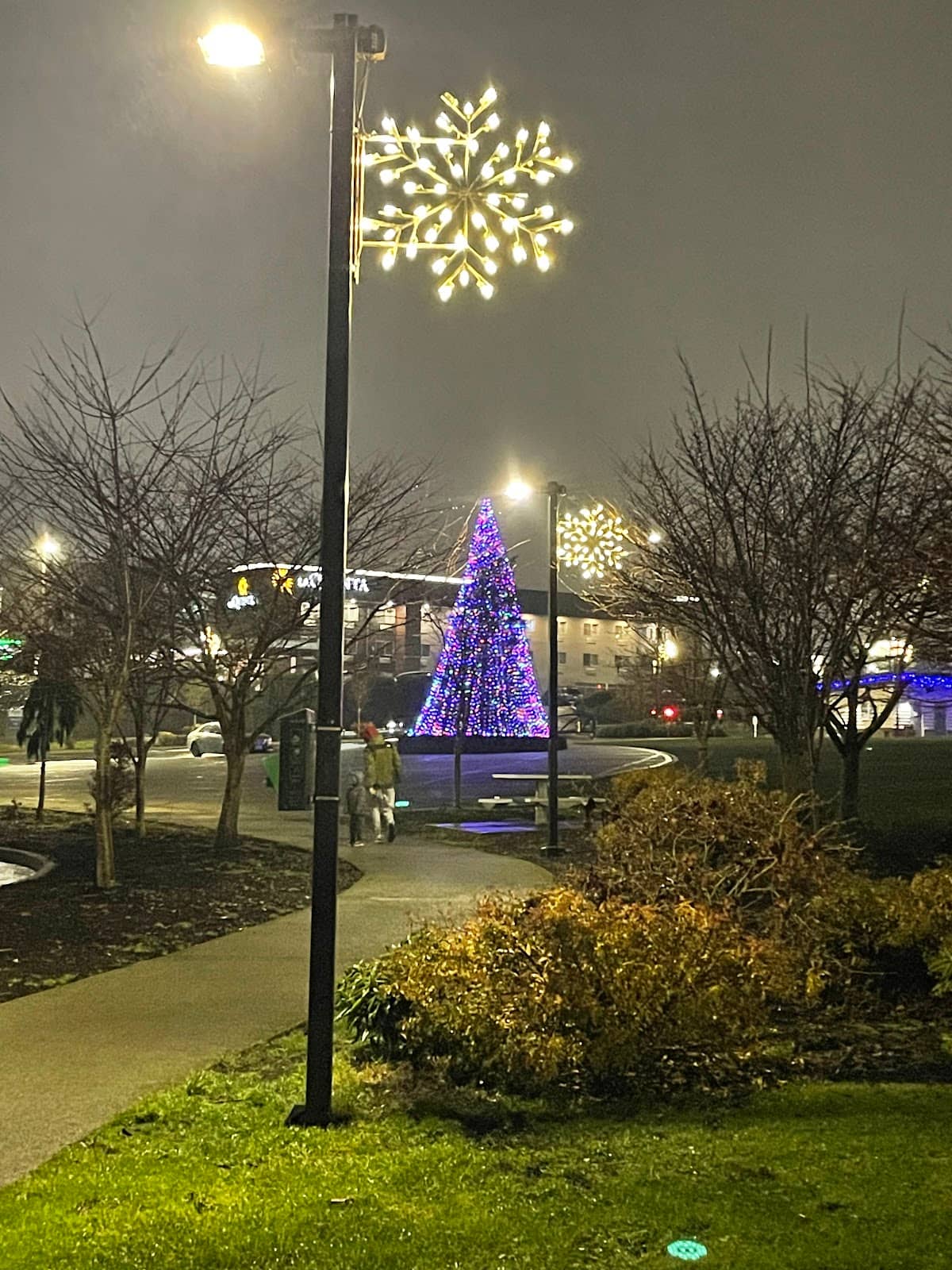 Unique Play Structures