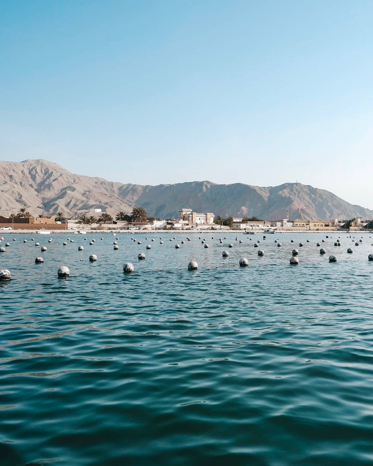 History of Arabian Pearls