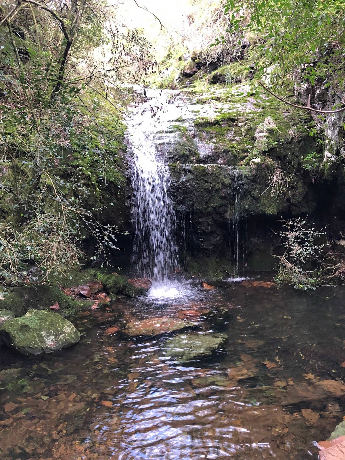 Cerro Aguiar