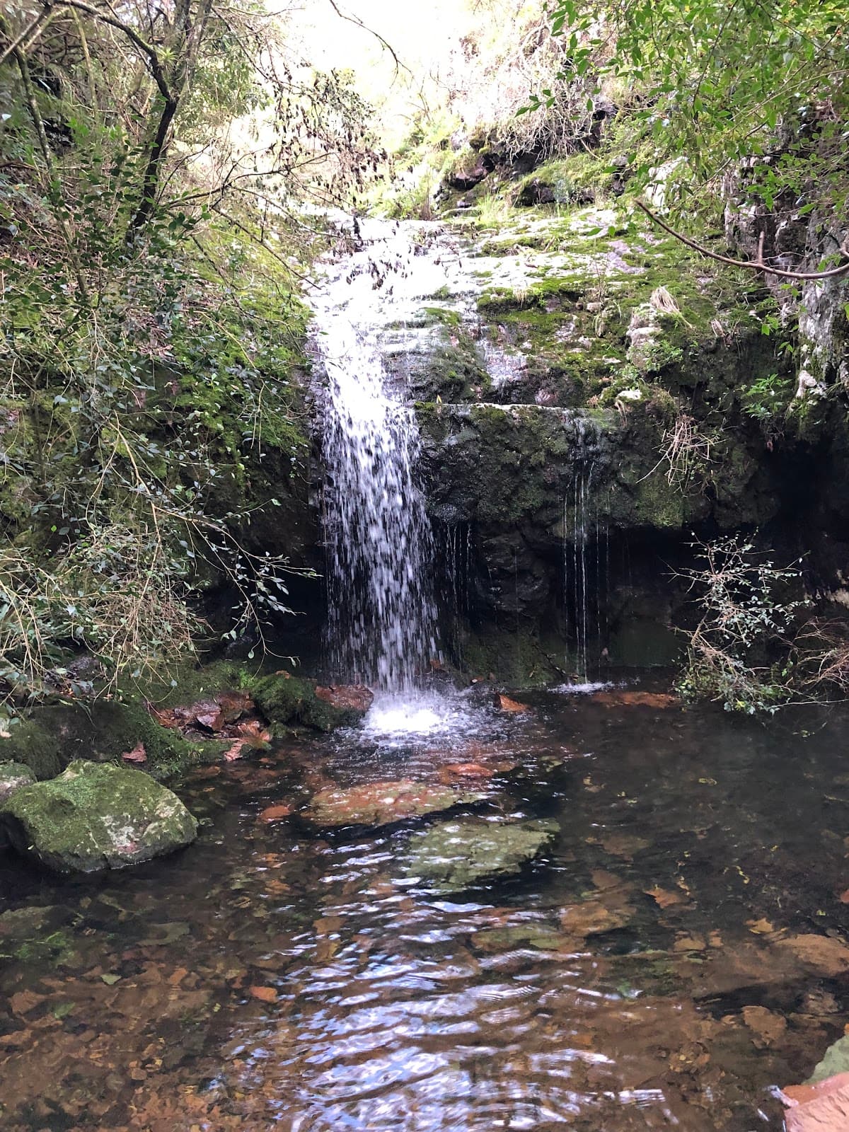 Cerro de las รnimas - Image 1