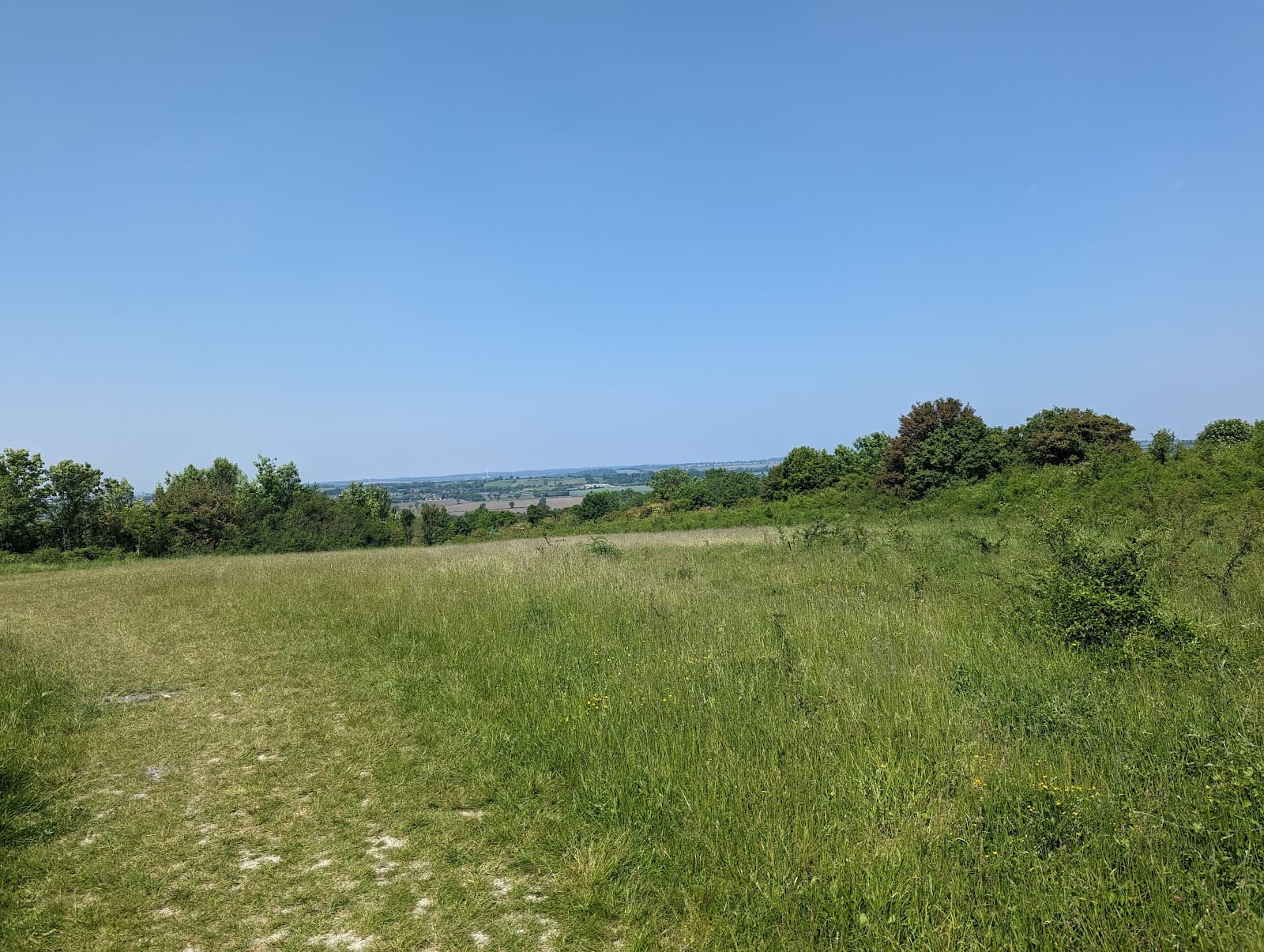 Sewell Cutting - Image 1