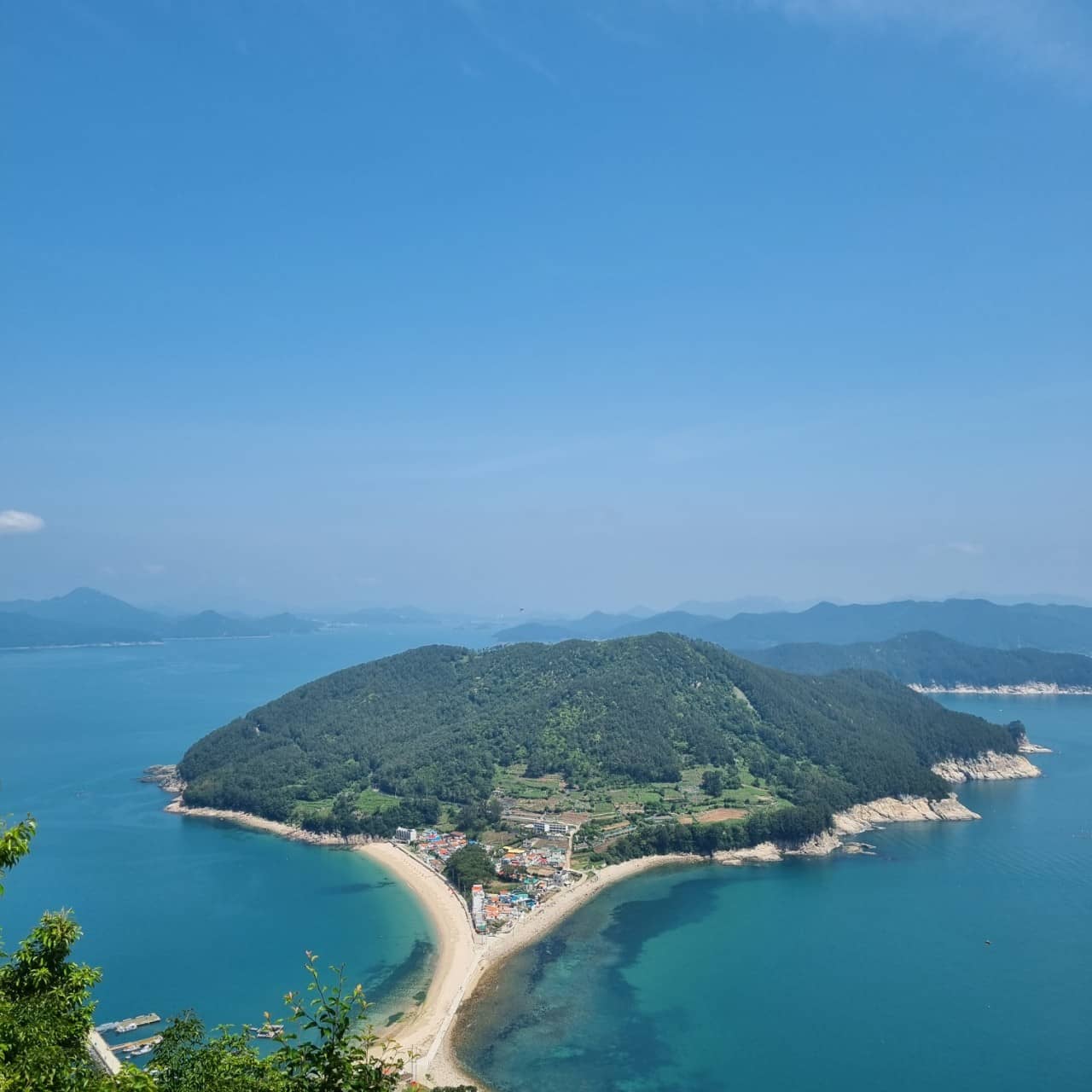 Tranquil Forest Paths