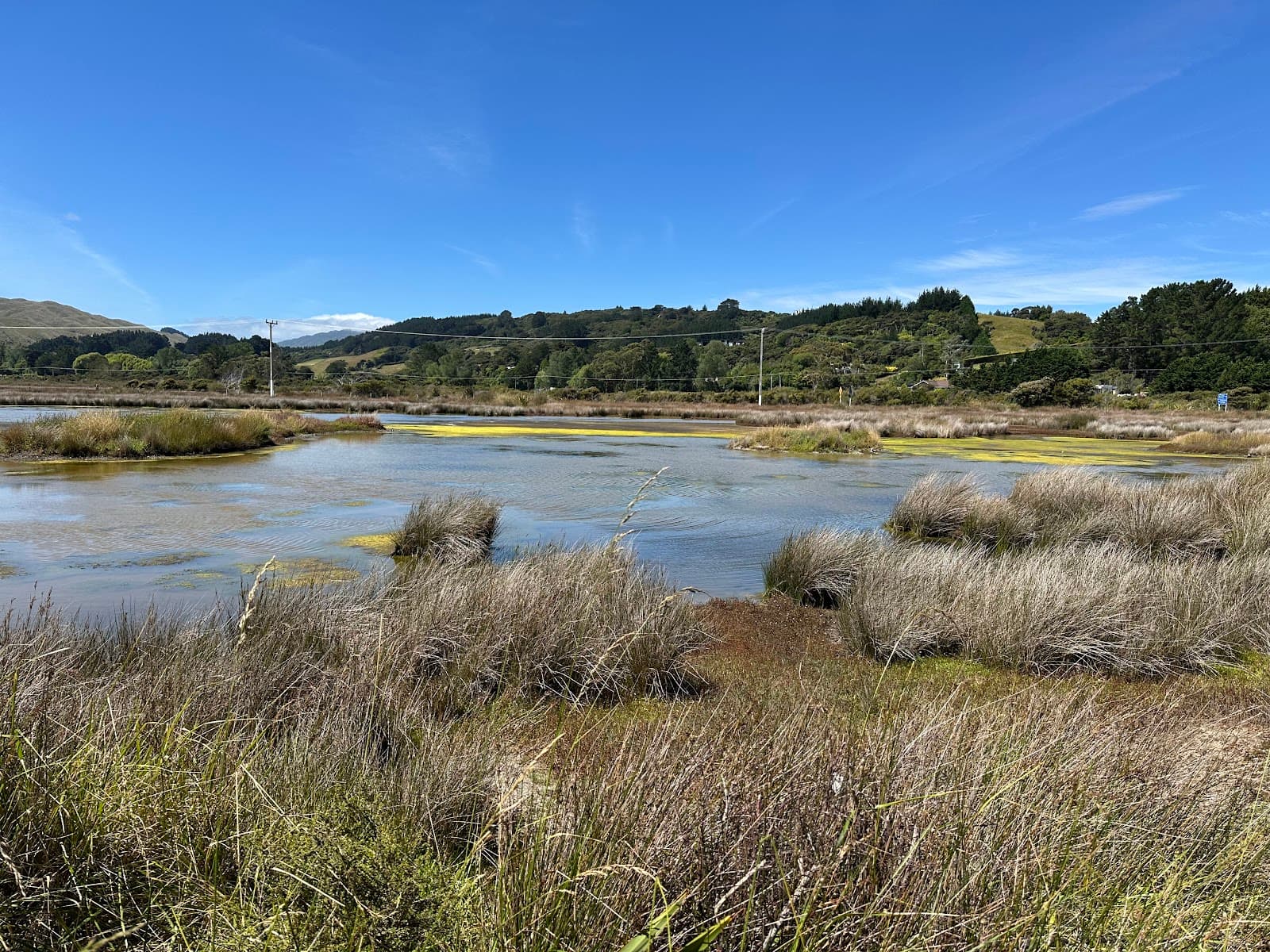 Pāuatahanui Wildlife Reserve - Image 1