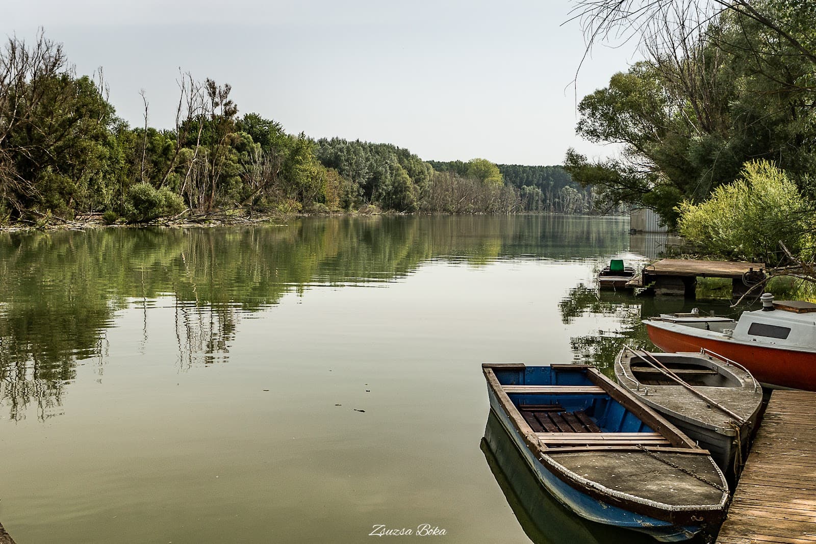 Szigetköz Danube Islands - Image 1