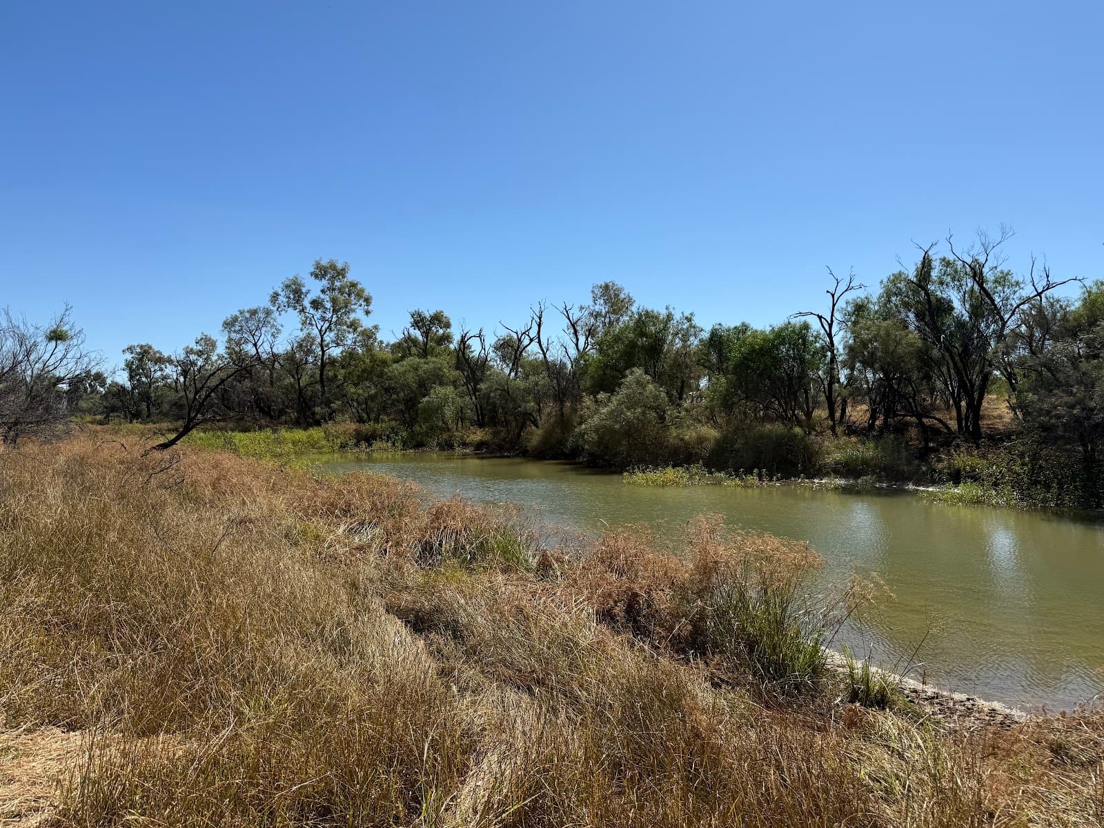 Iningai Nature Reserve - Image 1