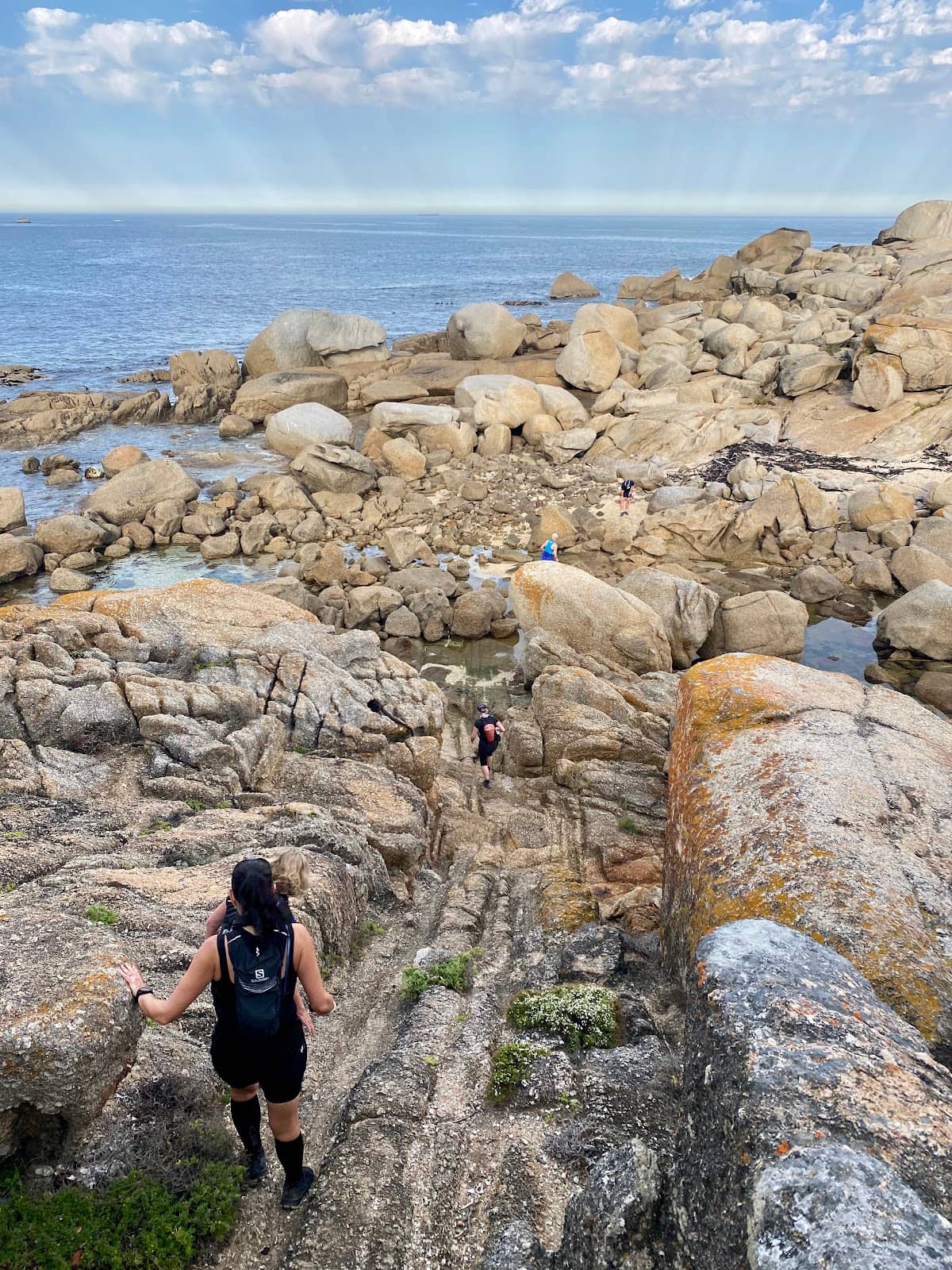 Coastal Vistas
