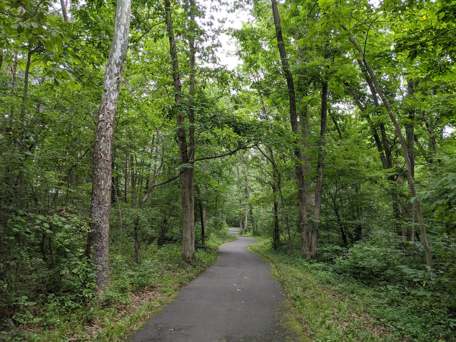 Cub Run Stream Valley Park - Image 1