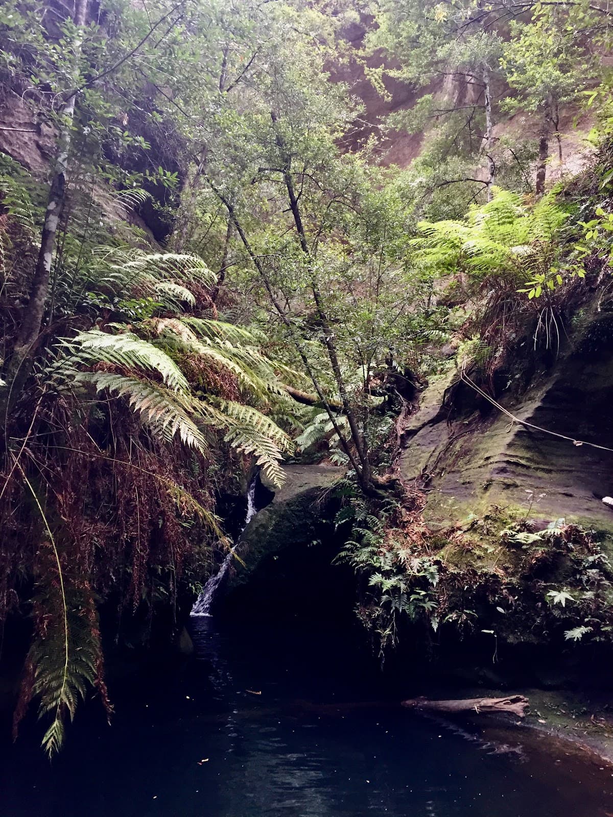 Deep Pass Canyon - Image 1