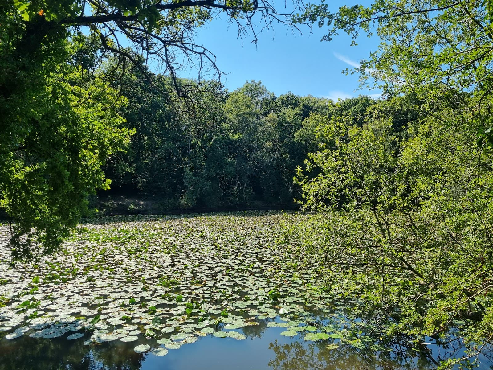 Ashtead Park - Image 1